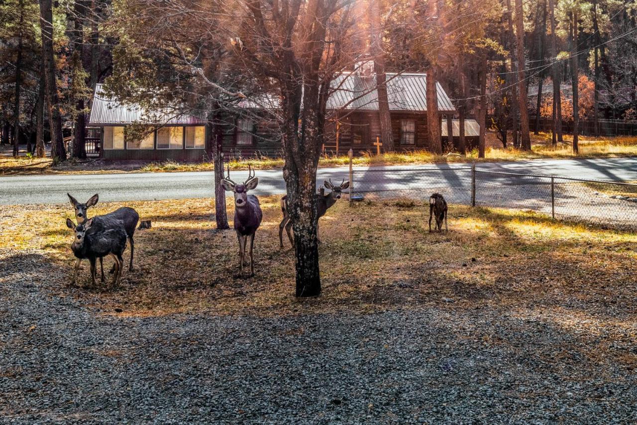 The Great Escape Villa Ruidoso Ngoại thất bức ảnh